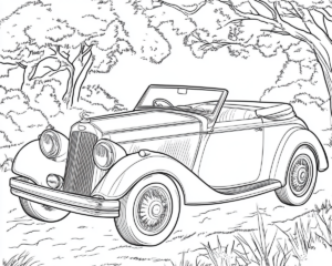 Auta 9041