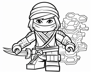 NINJAGO 6573